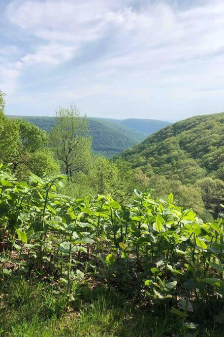 2 Bedroom 2 Bathroom - Blue Knob All Season Resort Condo Claysburg المظهر الخارجي الصورة